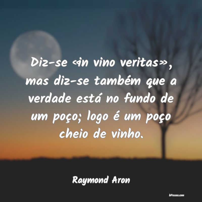 Frases de Raymond Aron