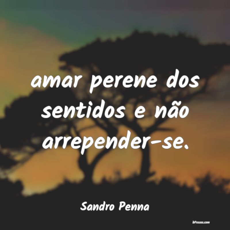 Frases de Sandro Penna