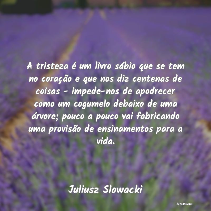Frases de Juliusz Slowacki