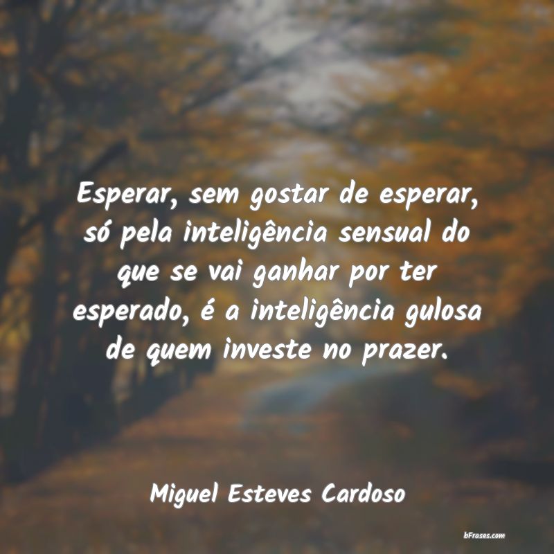 Frases de Miguel Esteves Cardoso