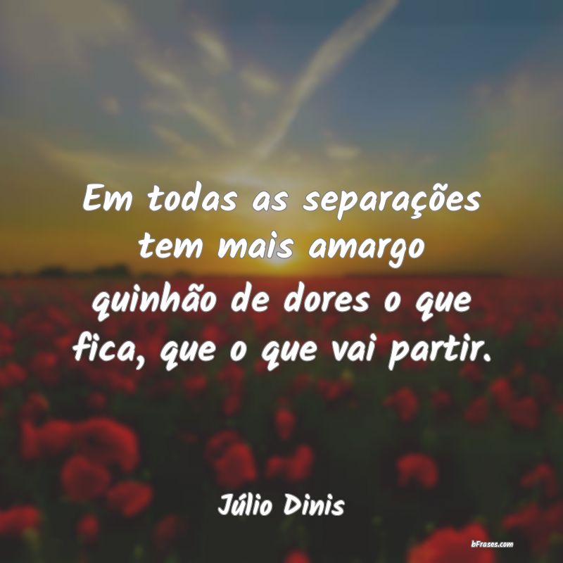 Frases de Júlio Dinis