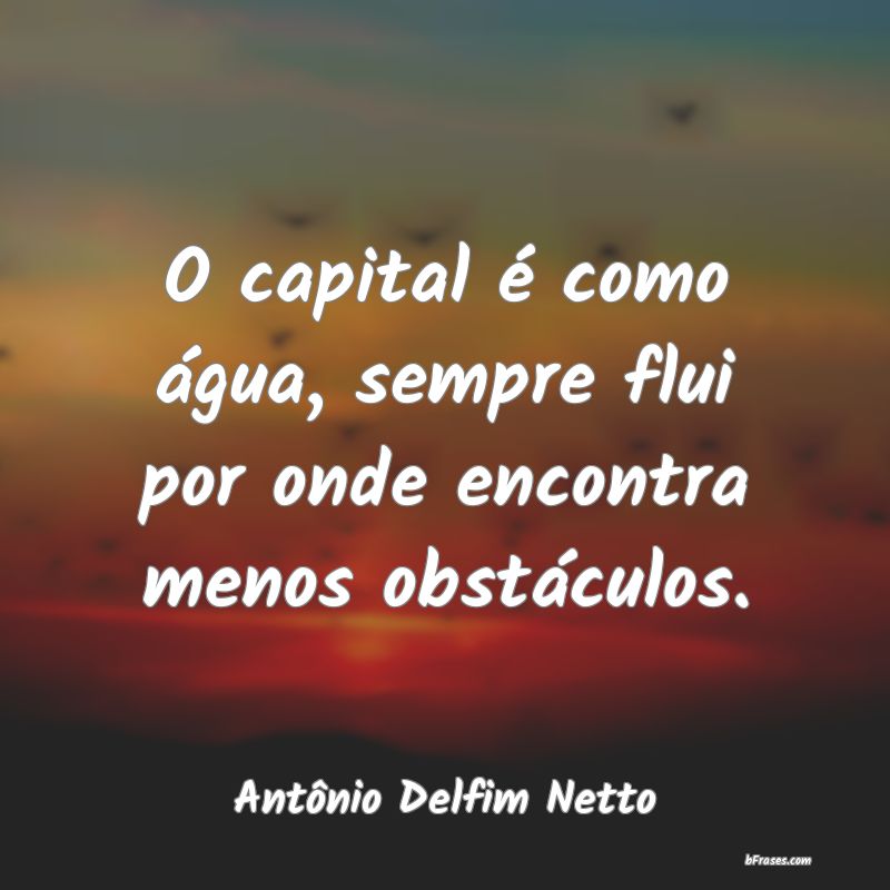 Frases de Antônio Delfim Netto