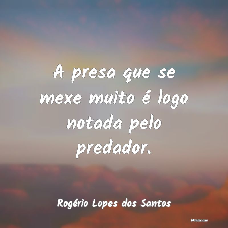 Frases de Rogério Lopes dos Santos