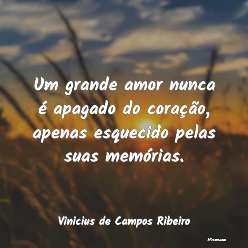 Frases de Vinicius de Campos Ribeiro
