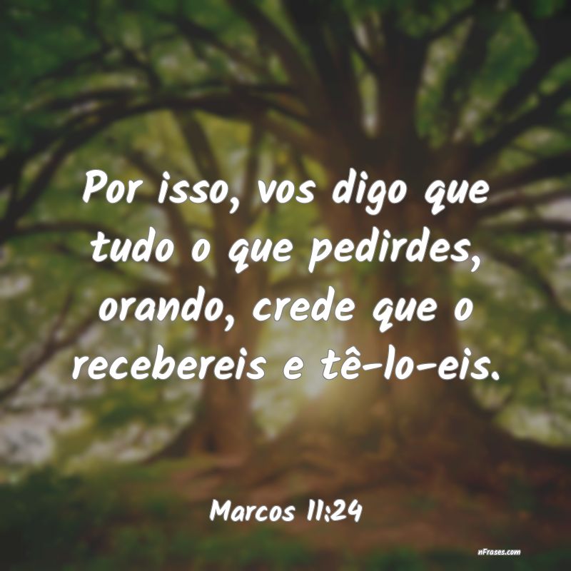 Frases de Marcos 11:24